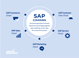 SAP Customer Experience (CX) Platform Overview | SaM Solutions