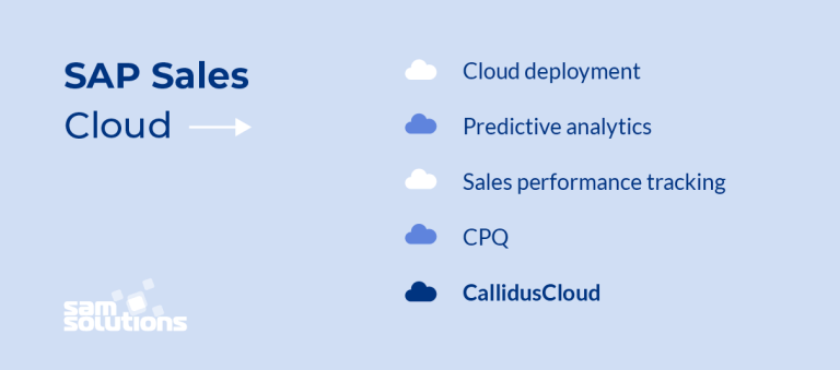 SAP Customer Experience (CX) Platform Overview | SaM Solutions