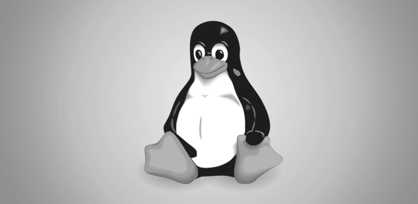 SaM Solutions – a Partner in Expanding Linux Knowledge