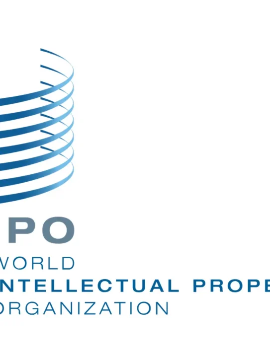 Delivering International Patent Classification Management to WIPO as Online Managed Service