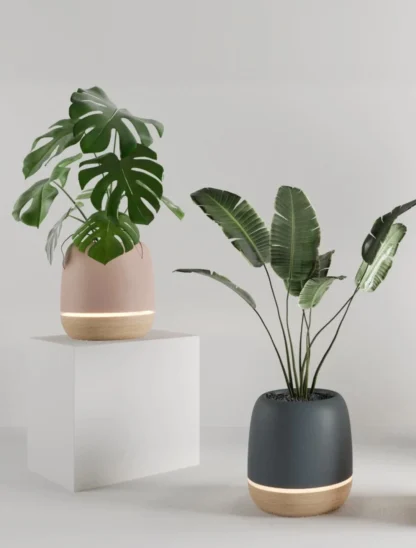 Custom IoT, Firmware, and Mobile Development for “KORU” Smart Plant Pot