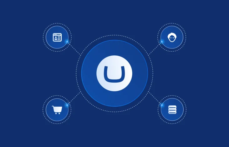 Why Is Umbraco a Suitable CMS for B2B Companies?