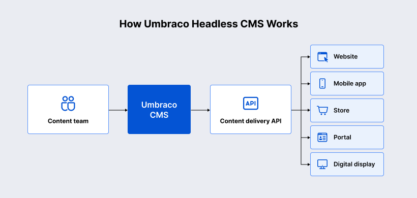 How Umbraco Headless CMS Works