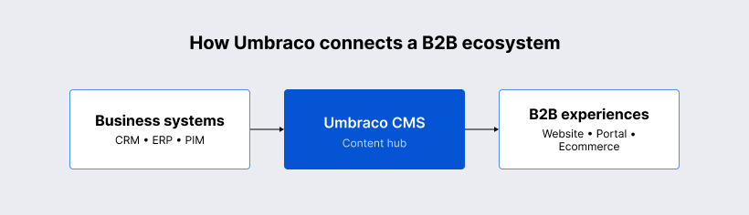 How Umbraco connects a B2B ecosystem