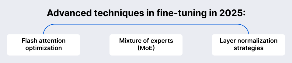 Infographic that shows the advanced techniques of fine-tuning in 2025.